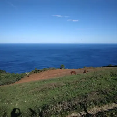 Alquiler de bicicleta para el camino de Santiago en San Sebastián, Guipúzcoa