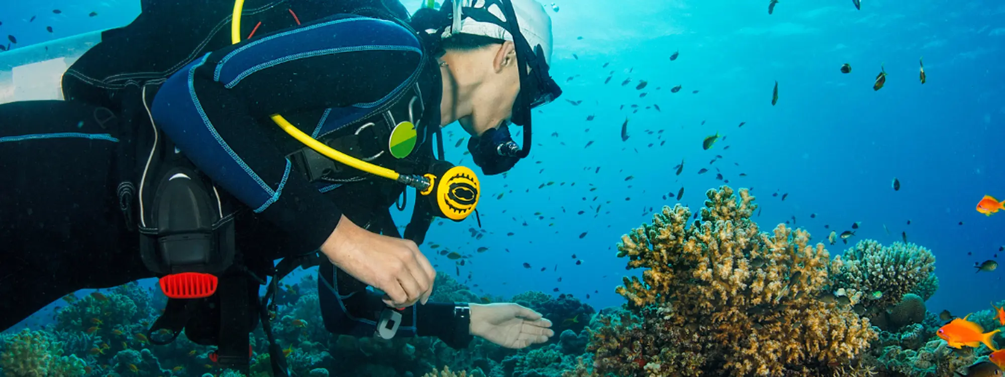 Curso de buceo Diver Stress & Rescue de SSI desde el Puerto de Hondarribia, Guipúazcoa