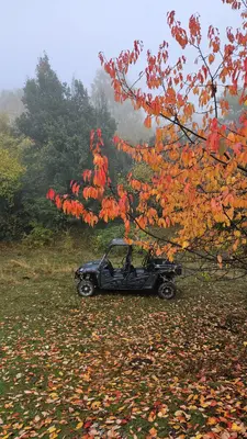 Ruta en buggy de 2 y 4 plazas a los lagos de Sabocos y Asnos
