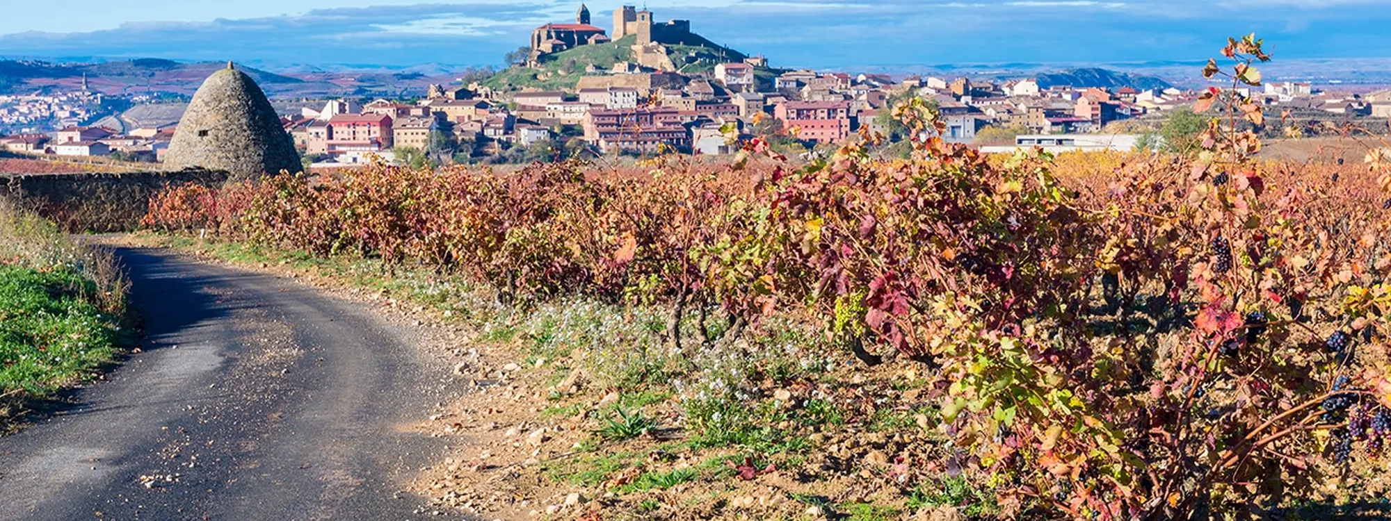 Enoturismo guiado a pie por los viñedos de la Sonsierra