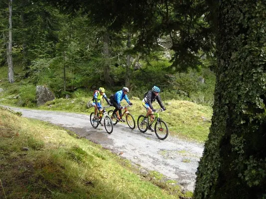 Alquiler de bicicletas de montaña BTT en Arriondas, Asturias