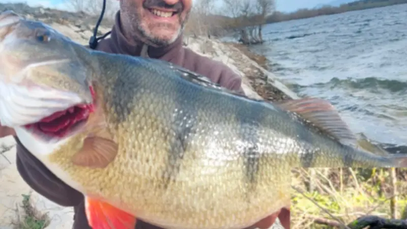 Media jornada de pesca guiada con mosca en río en Guipúzcoa
