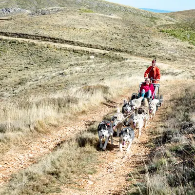 Ruta celtibérica en trineo de perros por Los Lombacos en Torrellas, tierras de misterios y leyendas del Moncayo