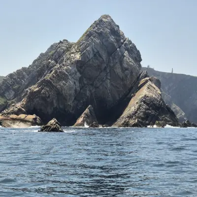 Tour en Barco a Cabo Peñas desde Gijón