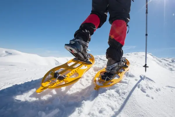 Ruta guiada en raquetas de nieve en Formigal