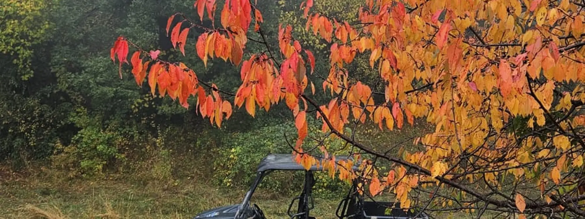 Ruta en buggy de 2 y 4 plazas a los lagos de Sabocos