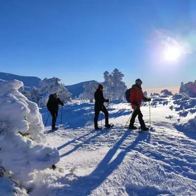 Raquetas de Nieve en Navacerrada: Explora la Ruta de Siete Picos