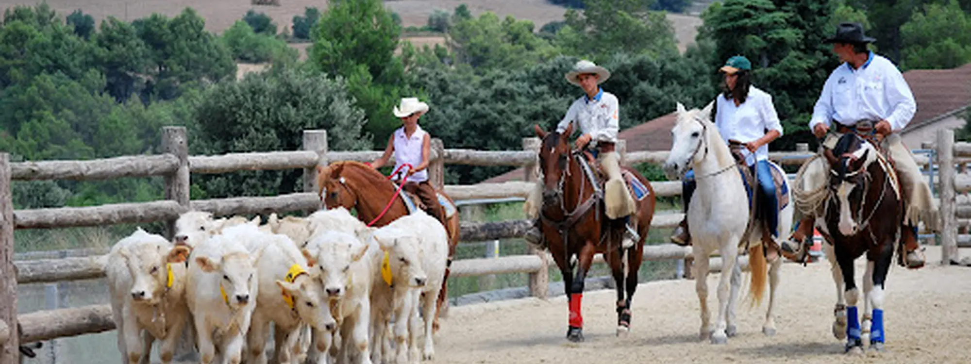 Ruta a caballo en Montserrat desde Castellbell i el Vilar