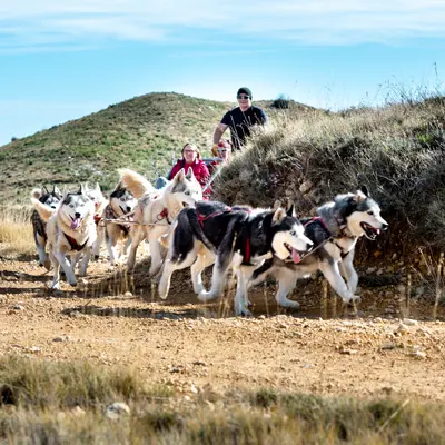 Ruta celtibérica en trineo de perros por Los Lombacos en Torrellas, tierras de misterios y leyendas del Moncayo