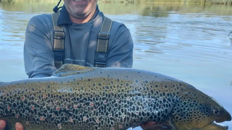 Jornada completa de pesca guiada con mosca en río en Guipúzcoa