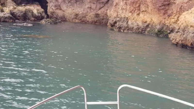 Alquiler de embarcaciones en Gijón