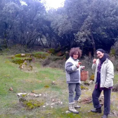 Ruta de senderismo micológico con degustación incluida en Alcaraz, Albacete