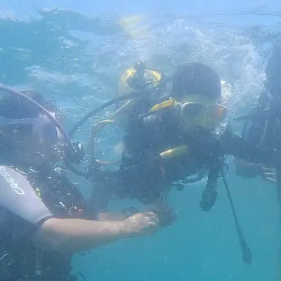 Curso PADI Open Water en Barcelona