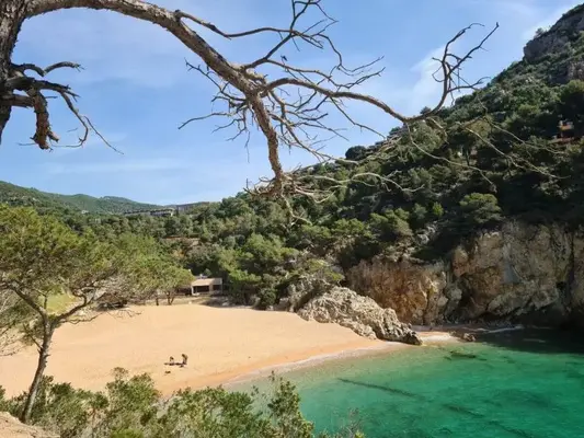 Ruta en quad y buggy a Cala Pola por la Costa Brava