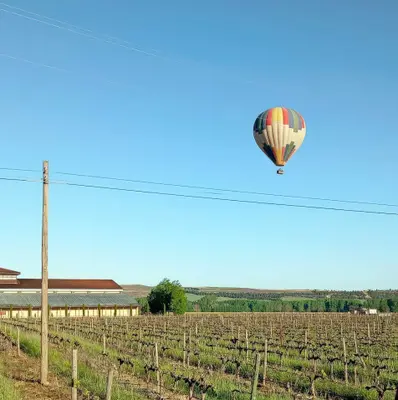 Paseo en Globo por Burgos