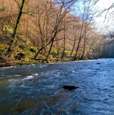Media jornada de pesca guiada con mosca en río en Guipúzcoa