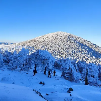 Raquetas de Nieve en Navacerrada: Explora la Ruta de Siete Picos