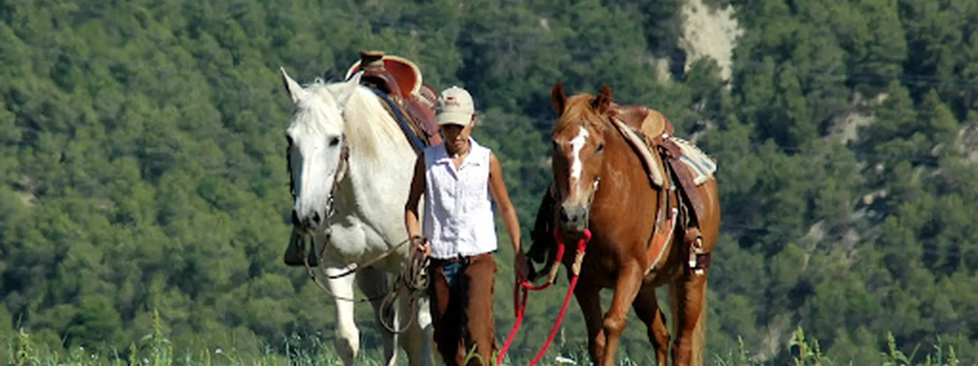 Ruta a caballo en Montserrat desde Castellbell i el Vilar