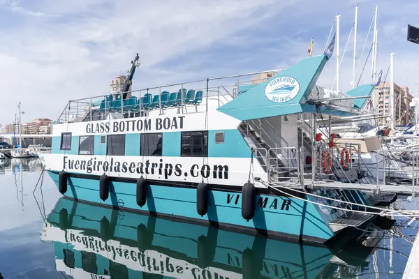 Avistamiento de Delfines en catamarán desde el Puerto Deportivo de Fuengirola