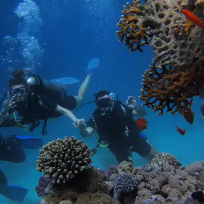 Curso de buceo Divemaster en Hondarribia, Guipúzcoa