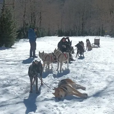 ESPECIAL PAREJAS: Paseo en trineo de perros bajo la luz de la luna desde la Pineta, Bielsa