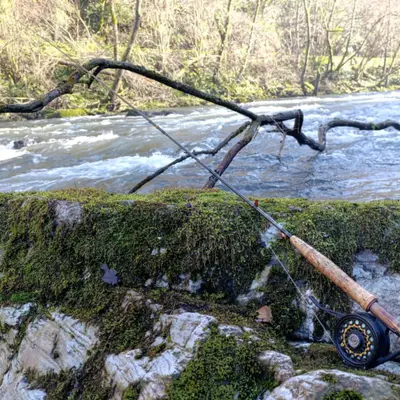 Jornada completa de pesca guiada con mosca en río en Guipúzcoa