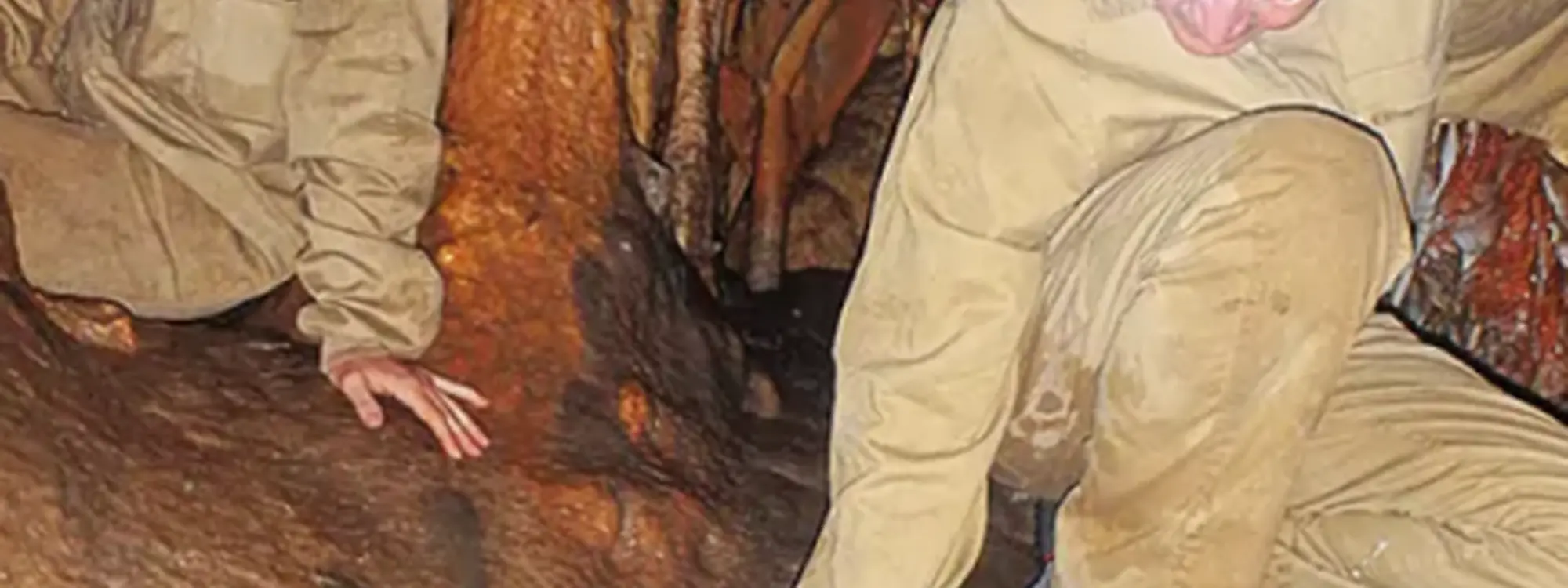 Espeleología de iniciación en la Cueva de la Sarsa en Bocairent