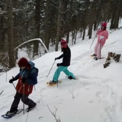 Ruta con Raquetas de Nieve en La Molina
