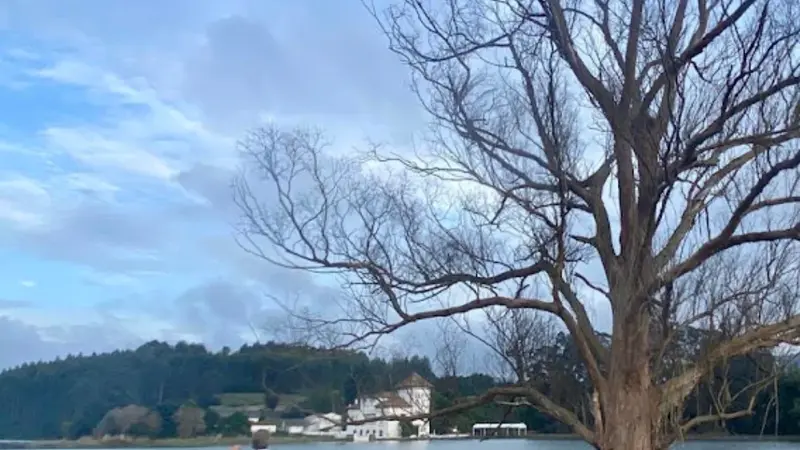 Travesía en Paddlesurf por la ría de Villaviciosa en Asturias
