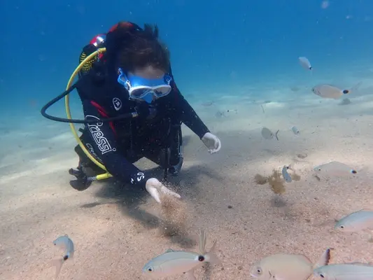 Curso PADI Scuba Diver en Tossa de Mar