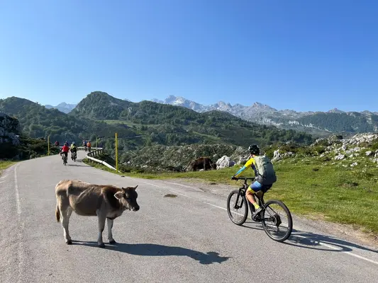 Ruta en bicicleta eléctrica desde Benia de Onís a los Lagos de Covadonga en Asturias