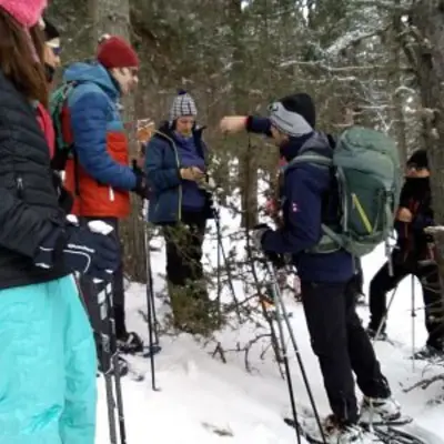 Ruta con Raquetas de Nieve en La Molina