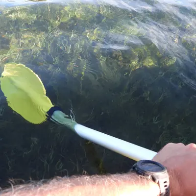 Travesía en Kayak por la ría de Villaviciosa en Asturias