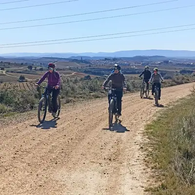 Alquiler y rutas guiadas en bicicleta eléctrica (e-bike) en Haro