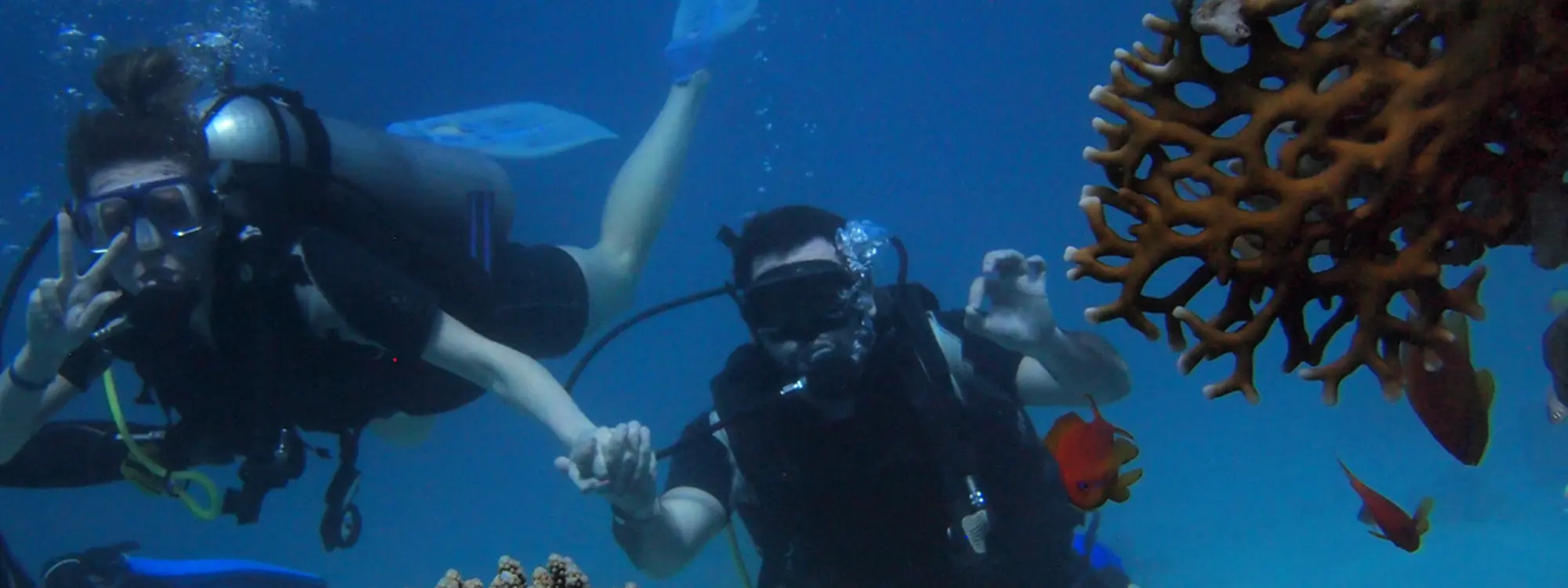 Curso de buceo Diver Stress & Rescue de SSI desde el Puerto de Hondarribia, Guipúazcoa