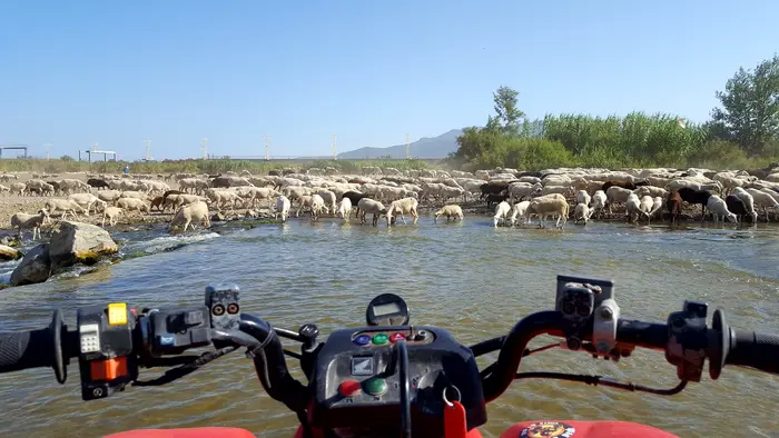Ruta en quad corta por el río Guadalhorce en Málaga