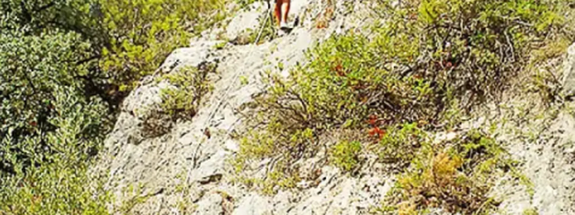 Multiaventura en el Salt de Benilloba