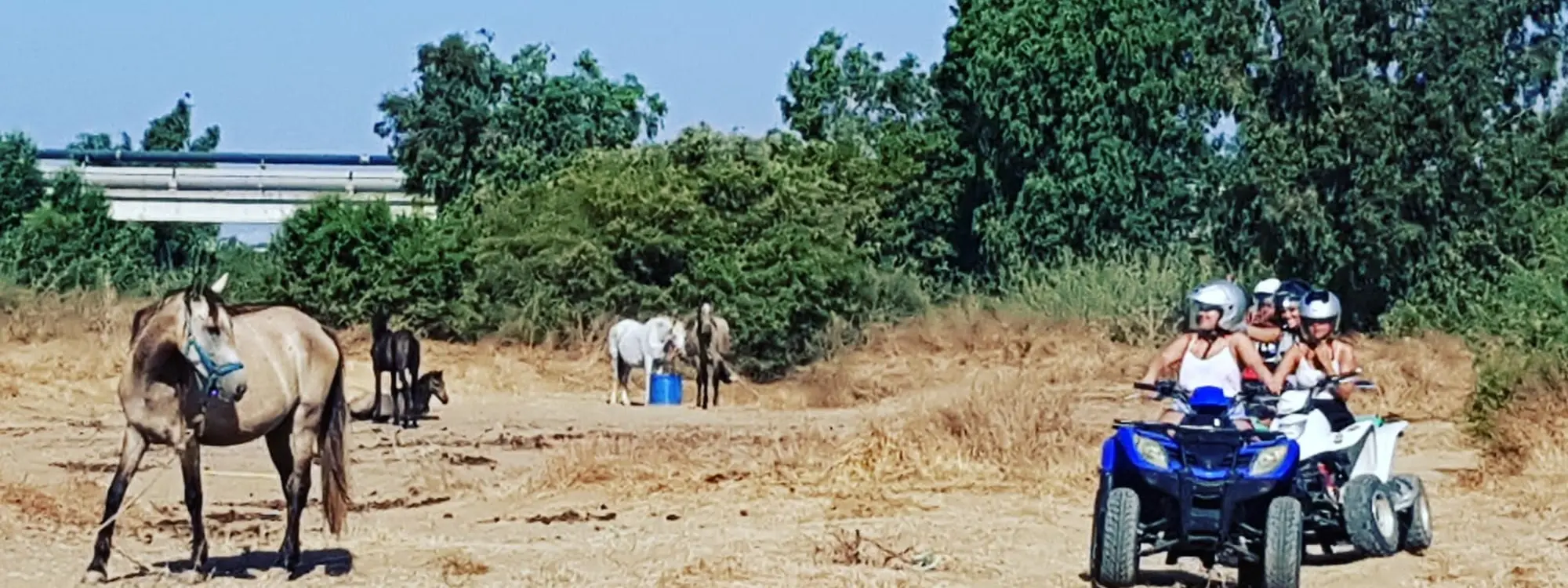 Ruta en quad corta por el río Guadalhorce en Málaga