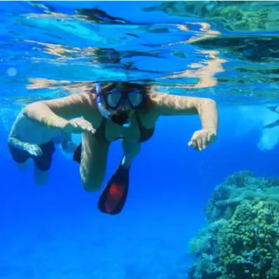 Snorkel guiado en Barcelona desde la Platja de Llevant