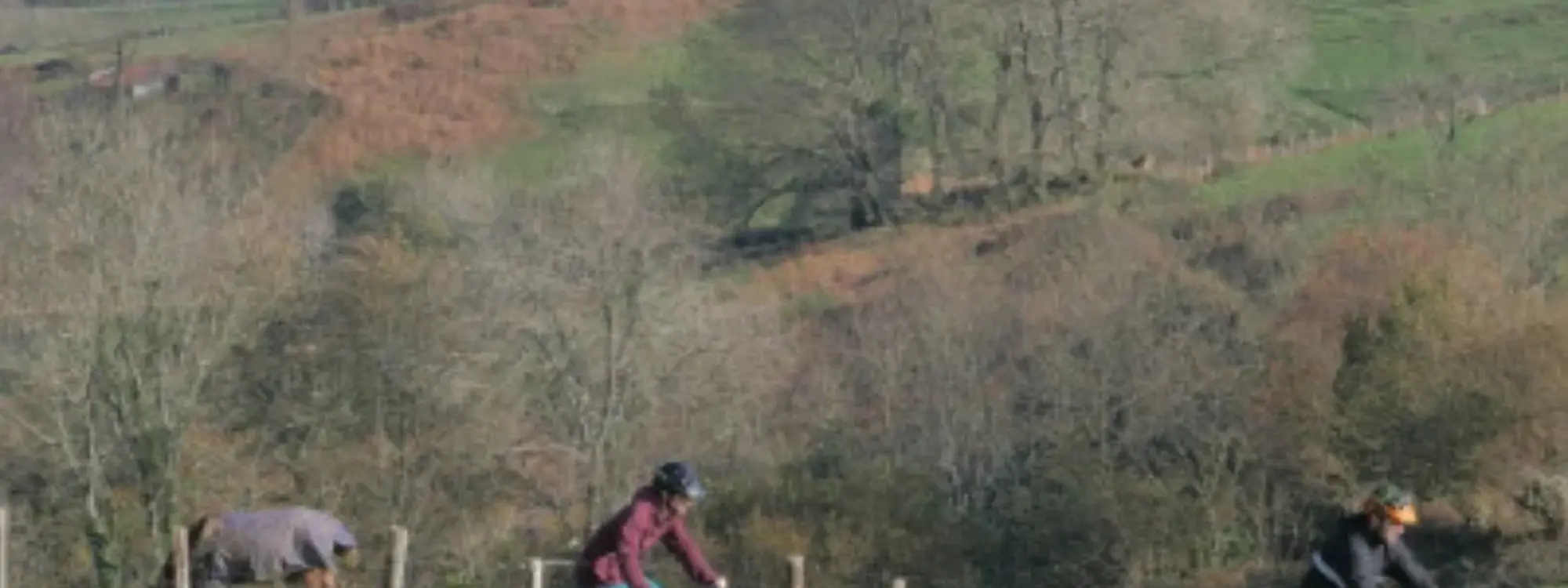 Ruta guiada en bicicleta eléctrica de montaña (e-MTB) por la Costa Vasca desde San Sebastián