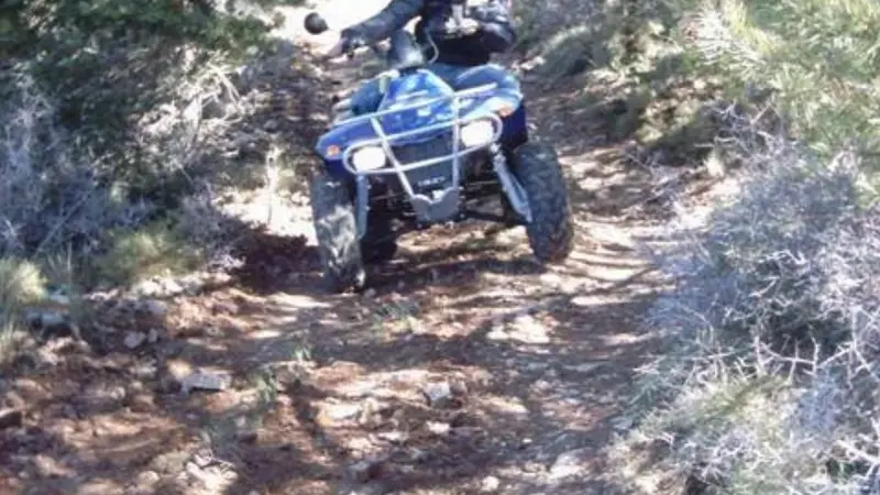 Ruta en Quad por el camino de los Olivos Centenarios