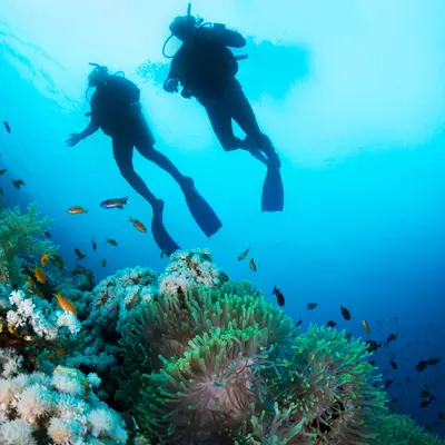 Curso avanzado de buceo Advanced Open Water Diver SSI desde el puerto de Hondarribia, Guipúzcoa