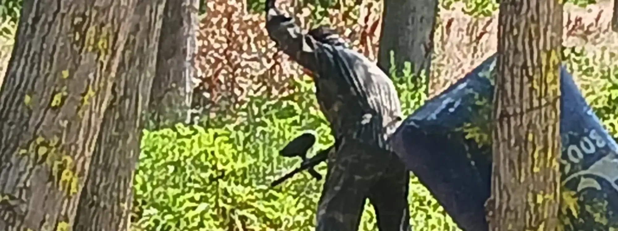 Paintball adulto en Castejón, Navarra