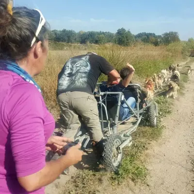 Trineo de perros entre viñedos en Fuendejalón desde Campo de Borja, Zaragoza