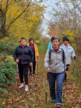 Ruta guiada de Nordic Walking en Haro